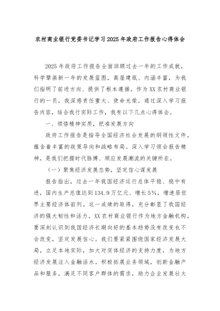 农村商业银行党委书记学习2025年政府工作报告心得体会
