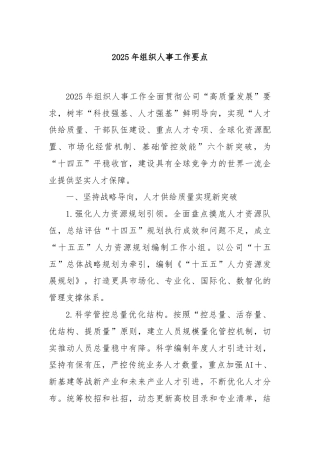2025年组织人事工作要点