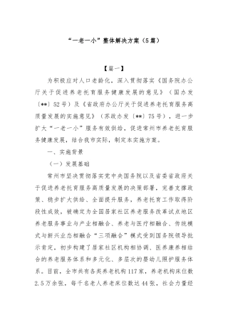 (5篇)“一老一小”整体解决方案
