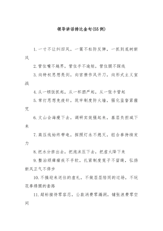 (55例)领导讲话排比金句