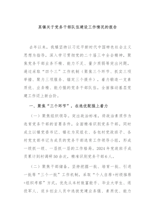 某镇关于党务干部队伍建设工作情况的报告
