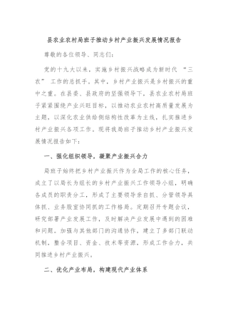 县农业农村局班子推动乡村产业振兴发展情况报告