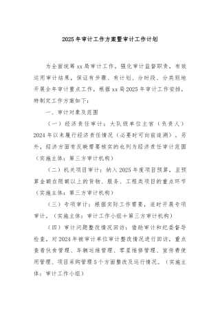 2025年审计工作方案暨审计工作计划