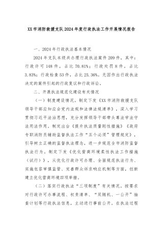 XX市消防救援支队2024年度行政执法工作开展情况报告
