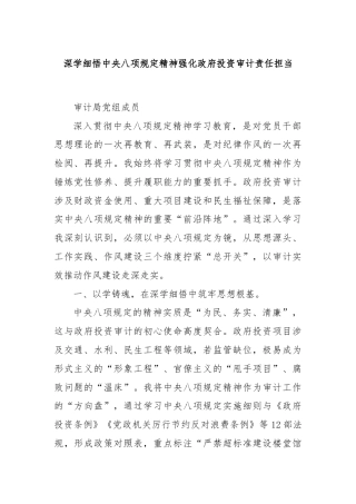 深学细悟中央八项规定精神强化政府投资审计责任担当
