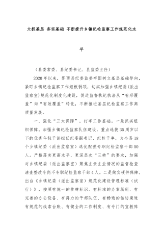大抓基层 夯实基础 不断提升乡镇纪检监察工作规范化水平