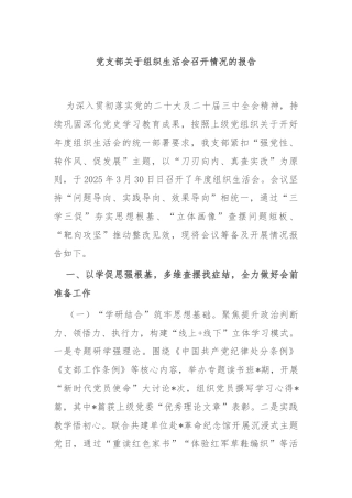党支部关于组织生活会召开情况的报告