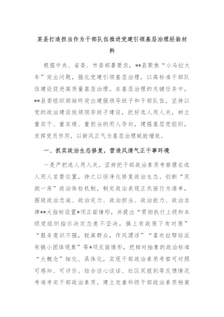 某县打造担当作为干部队伍推进党建引领基层治理经验材料