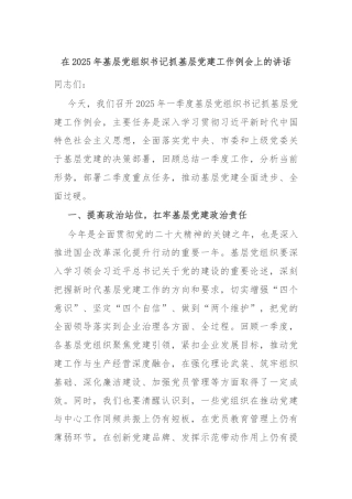 在2025年基层党组织书记抓基层党建工作例会上的讲话