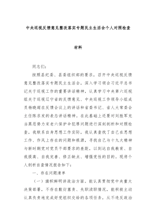 中央巡视反馈意见整改落实专题民主生活会个人对照检查材料