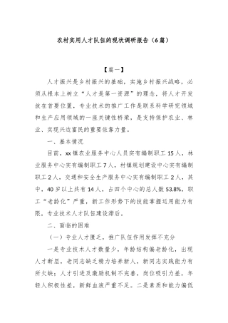 (6篇)农村实用人才队伍的现状调研报告