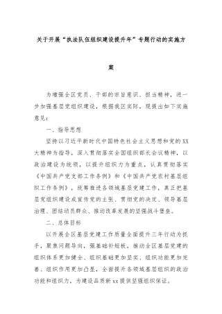 关于开展“执法队伍组织建设提升年”专题行动的实施方案