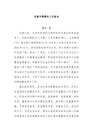 巡察问题整改工作报告