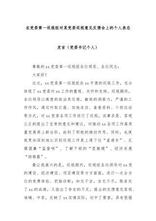 在党委第一巡视组对某党委巡视意见反馈会上的个人表态发言（党委书记个人）