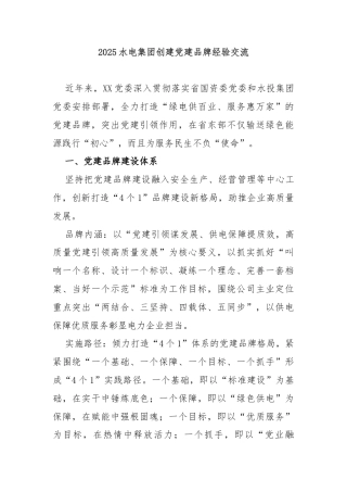 2025水电集团创建党建品牌经验交流
