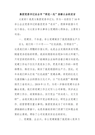 集团党委书记在全市“两优一先”表彰大会的发言