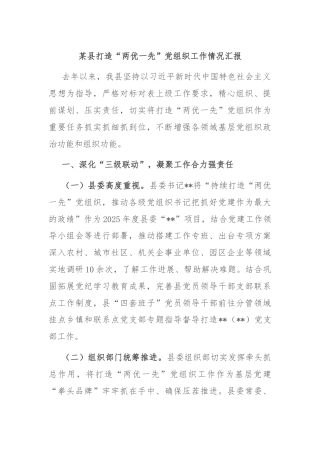 某县打造“两优一先”党组织工作情况汇报