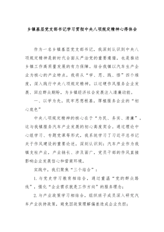 乡镇基层党支部书记学习贯彻中央八项规定精神心得体会