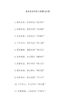 (30例)表态发言写作小标题