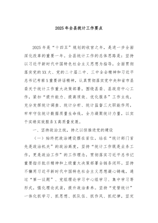 2025年全县统计工作要点