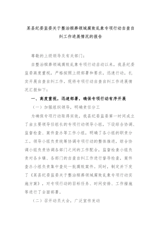 某县纪委监委关于整治殡葬领域腐败乱象专项行动自查自纠工作进展情况的报告