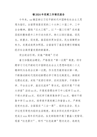 镇2024年党建工作情况报告