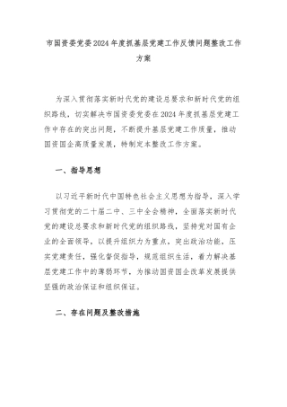 市国资委党委2024年度抓基层党建工作反馈问题整改工作方案