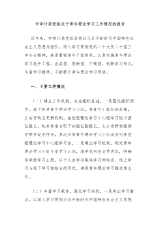 市审计局党组关于青年理论学习工作情况的报告