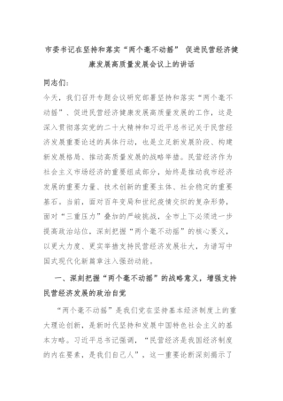 市委书记在坚持和落实“两个毫不动摇” 促进民营经济健康发展高质量发展会议上的讲话