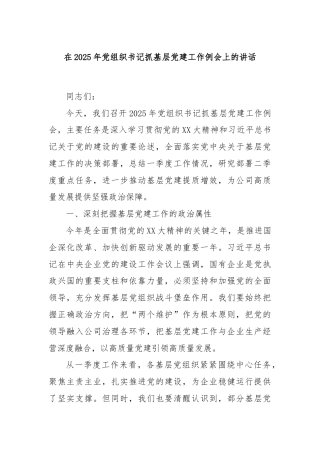 在2025年党组织书记抓基层党建工作例会上的讲话