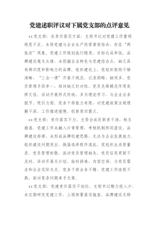 党建述职评议对下属党支部的点评意见