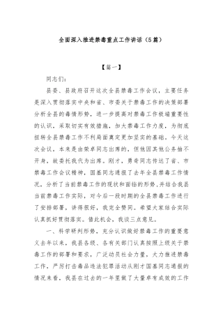 (5篇)全面深入推进禁毒重点工作讲话