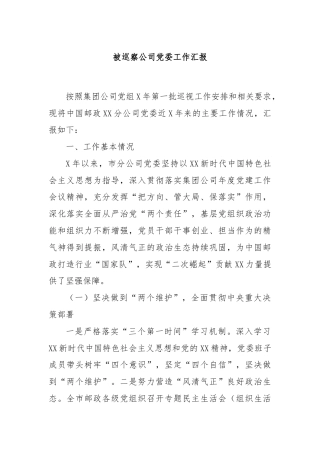 被巡察公司党委工作汇报