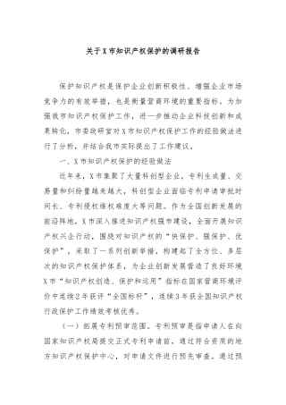关于X市知识产权保护的调研报告