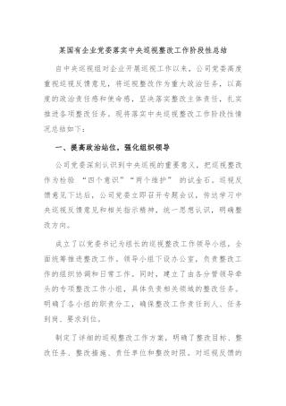 某国有企业党委落实中央巡视整改工作阶段性总结