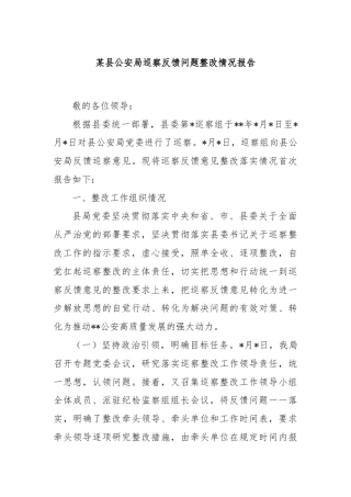 某县公安局巡察反馈问题整改情况报告