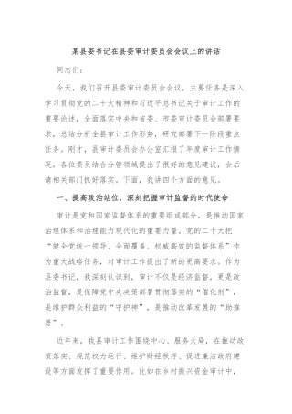 某县委书记在县委审计委员会会议上的讲话
