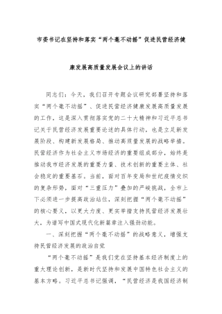 市委书记在坚持和落实“两个毫不动摇”促进民营经济健康发展高质量发展会议上的讲话