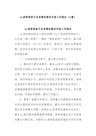 (2篇)xx委常委班子自身建设情况年度工作报告