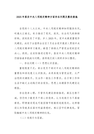 2025 年落实中央八项规定精神方面存在问题及整改措施
