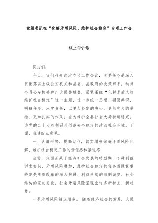 党组书记在“化解矛盾风险、维护社会稳定”专项工作会议上的讲话