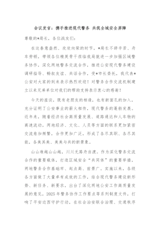 会议发言：携手推进现代警务 共筑全域安全屏障