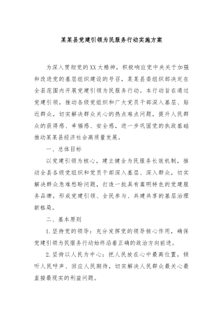 某某县党建引领为民服务行动实施方案