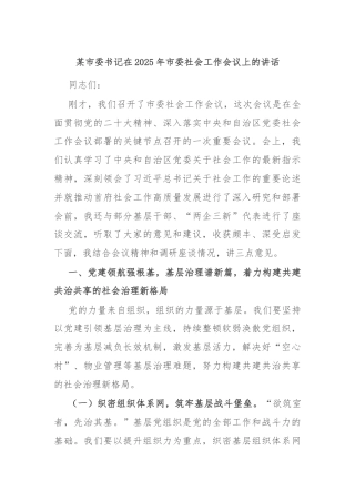 某市委书记在2025年市委社会工作会议上的讲话