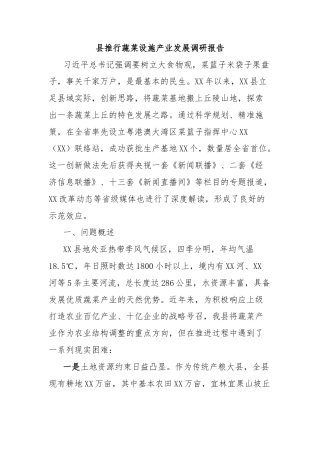 县推行蔬菜设施产业发展调研报告