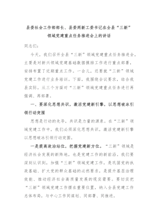 县委社会工作部部长、县委两新工委书记在全县“三新”领域党建重点任务推进会上的讲话