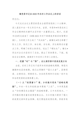 镇党委书记在2025年农村工作会议上的讲话