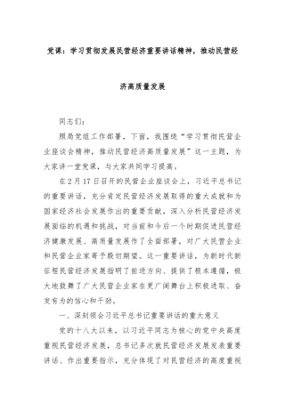 党课：学习贯彻发展民营经济重要讲话精神，推动民营经济高质量发展