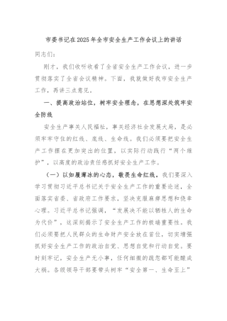 市委书记在2025年全市安全生产工作会议上的讲话