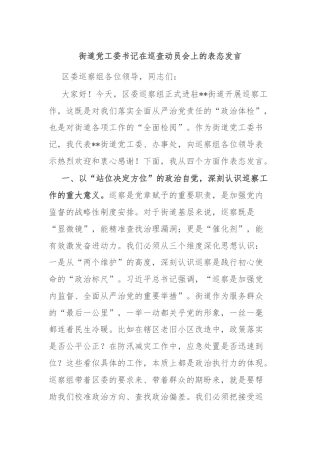 街道党工委书记在巡查动员会上的表态发言